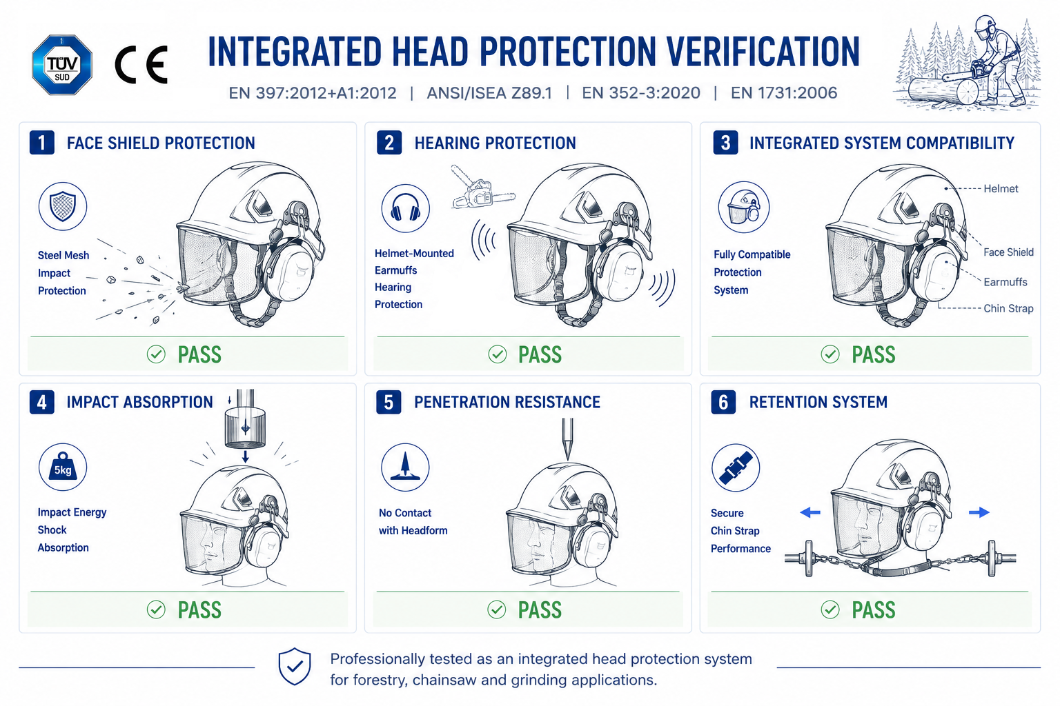Forestry safety helmet